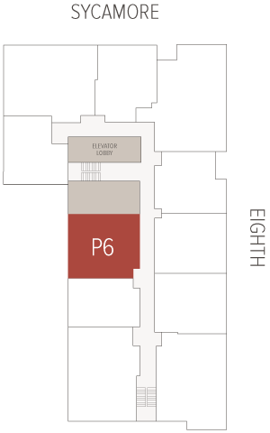 Unit P6 occupies a red rectangular room adjacent to a beige ELEVATOR LOBBY, centered on a narrow interior corridor within a floor plan bordered by Sycamore (top) and Eighth (right).